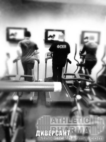 gallery_1196_2_14181.jpg